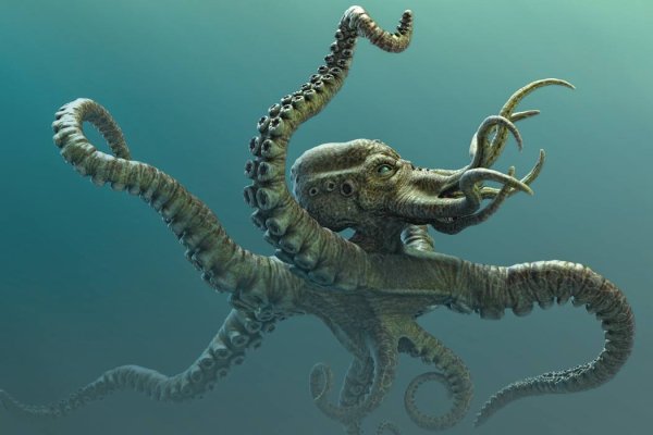 Официальная ссылка на kraken