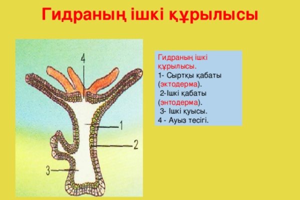 Новая ссылка на гидру